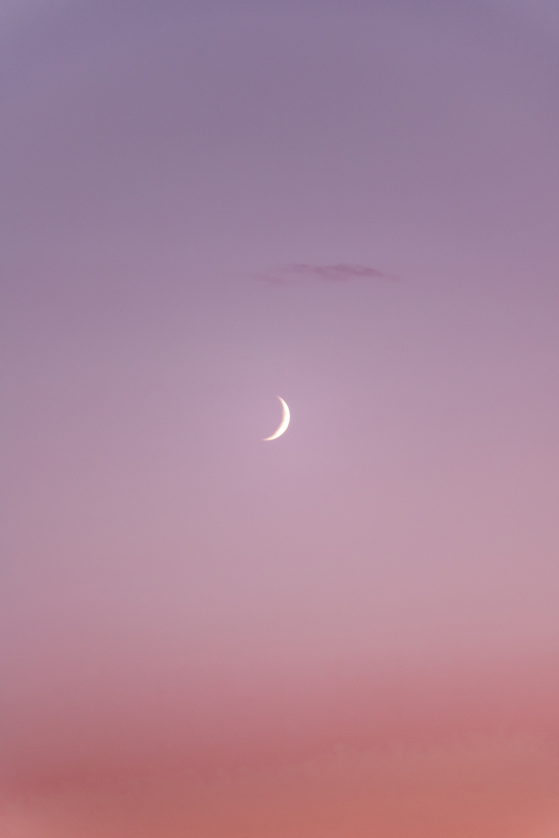Crescent Moon on a Pink Sky